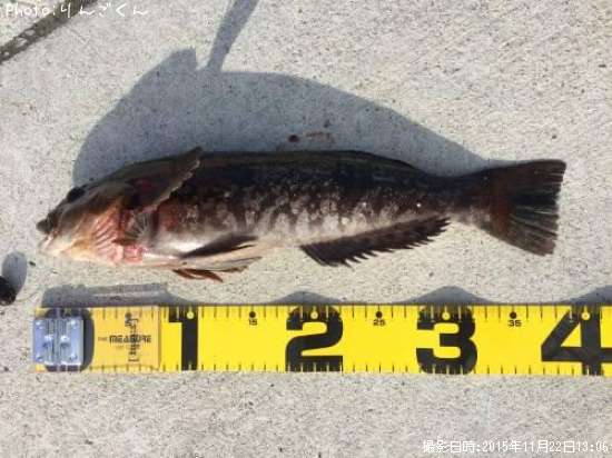 �����ʥ�