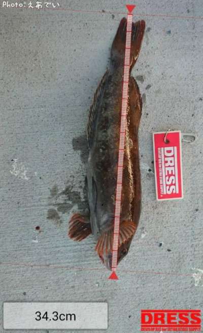 �����ʥ�