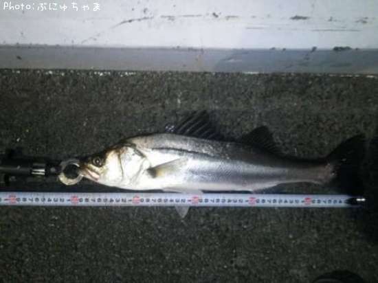 �����Х�