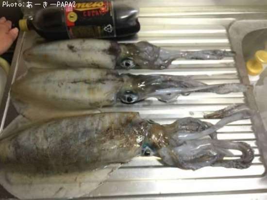 �����ꥤ��