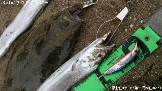 ��������������ҥ��