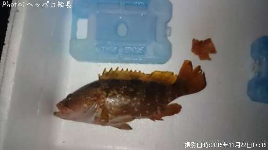 �����ϥ�