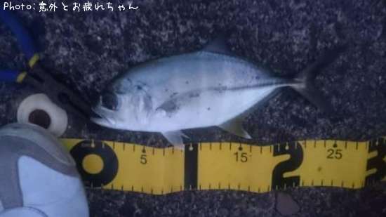 ��å�����