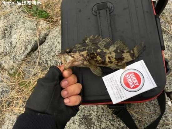 �����Υ���Х�