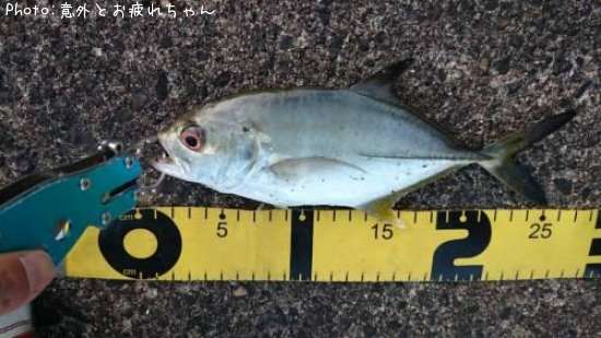 ��å�����