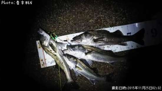 �����Х�