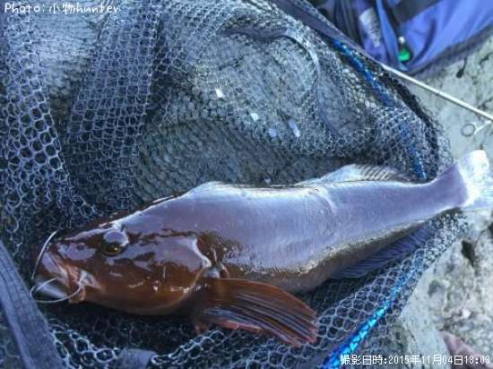 �����ʥ�