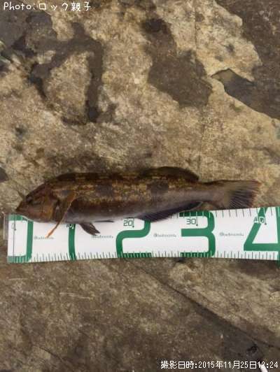 �����ʥ�