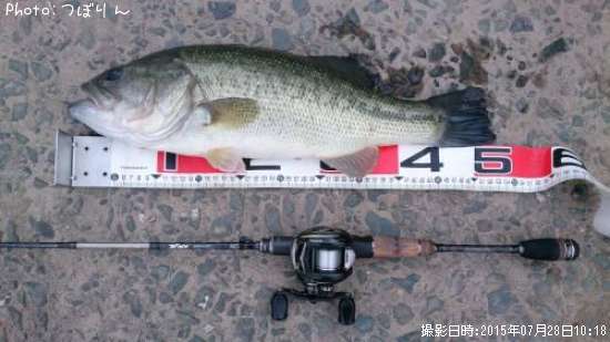 �֥�å��Х�