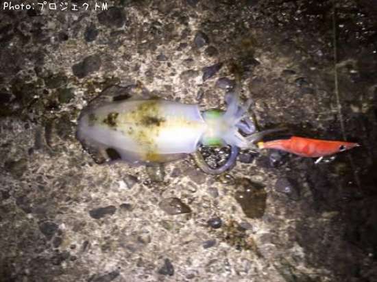 �����ꥤ��