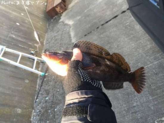 �����ʥ�