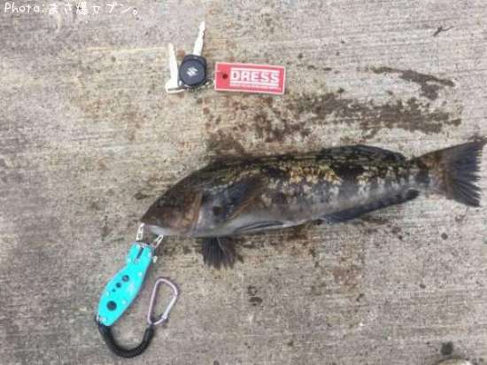 �����ʥ�