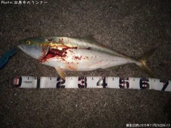 ��饵