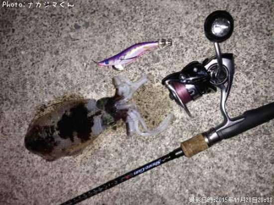 �����ꥤ��