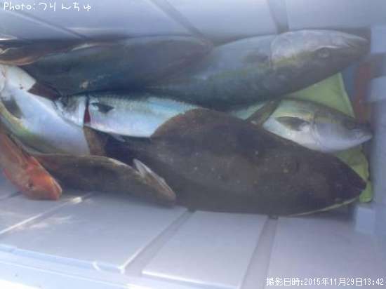 �ҥ��ȥ��ʥ��ȥۥ��ܥ��ȥ���