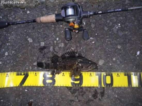 �����Υ���Х�