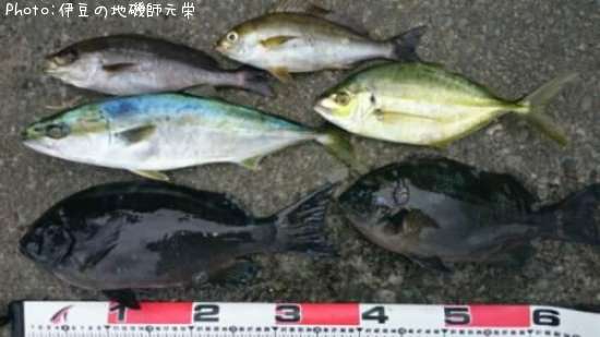 �����᥸��