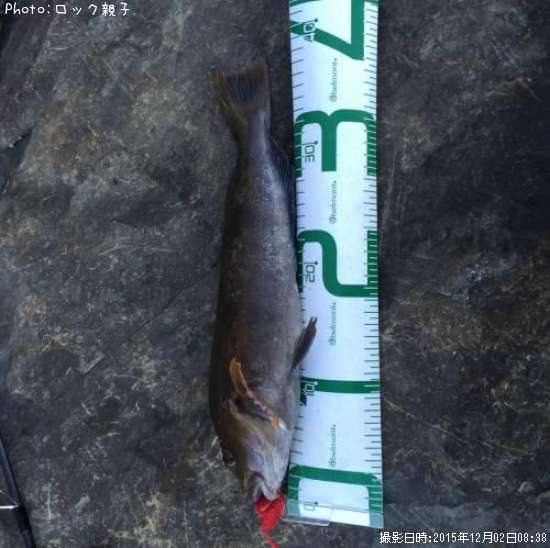 �����ʥ�