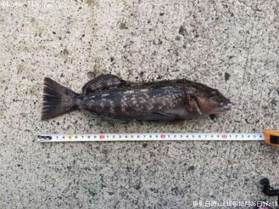 �����ʥ�