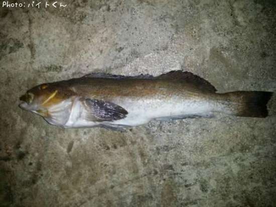 �����ʥ�