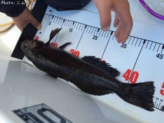 �����ʥ�