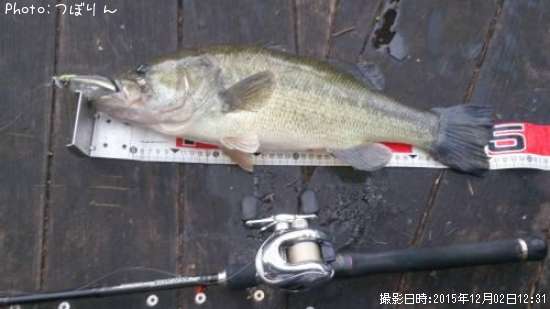 �֥�å��Х�