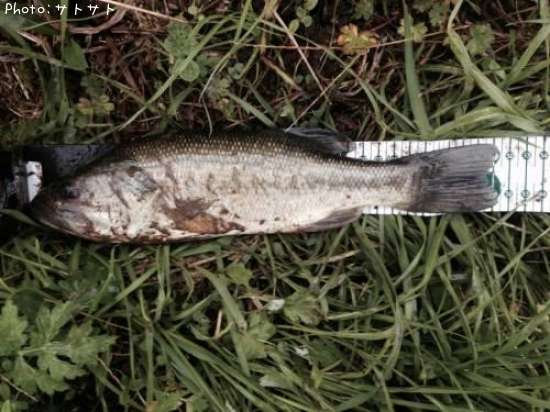 �֥�å��Х�