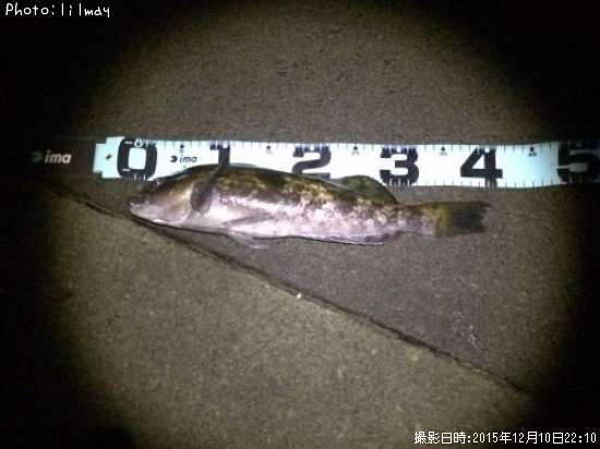 �����ʥ�