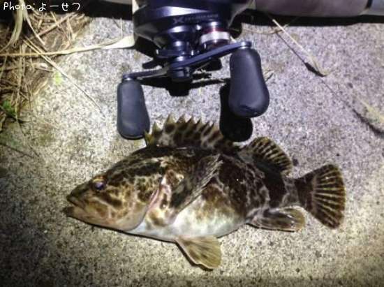 �����Υ���Х�