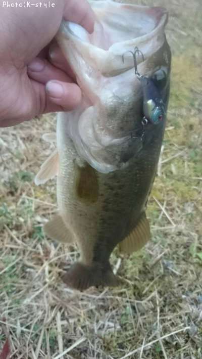 �֥�å��Х�