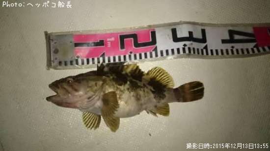 �����Υ���Х�