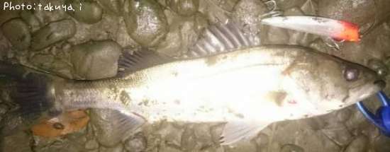 �����Х�