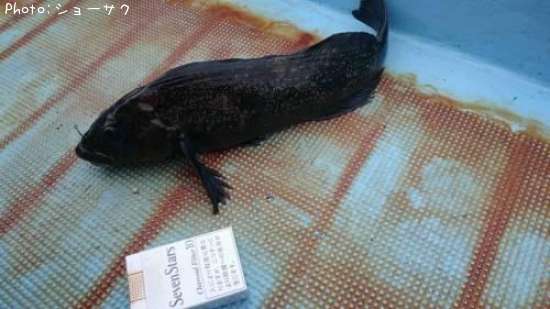 �����ʥ�