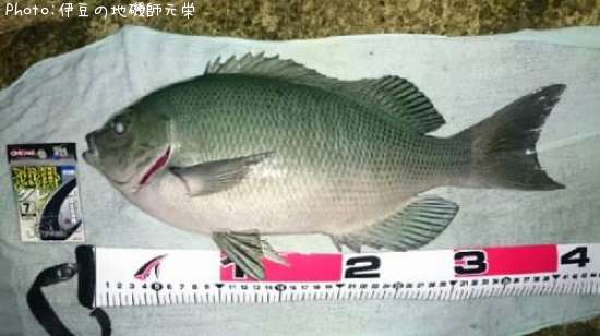 �����᥸��