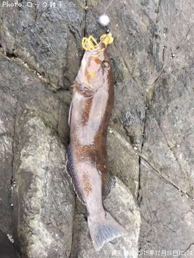 �����ʥ�