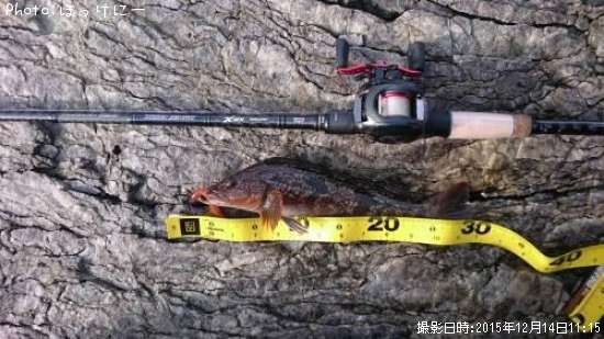 �����ʥ�