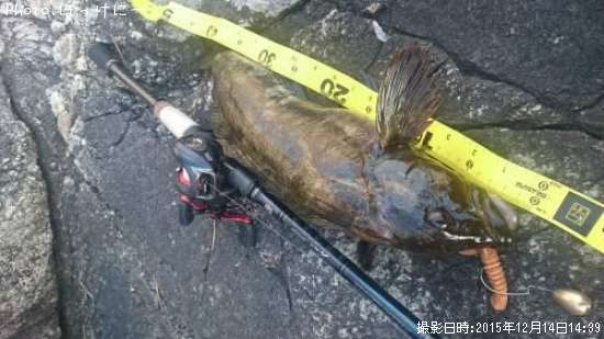 �����ʥ�