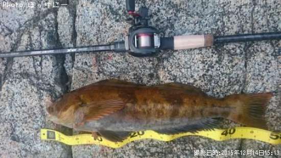 �����ʥ�