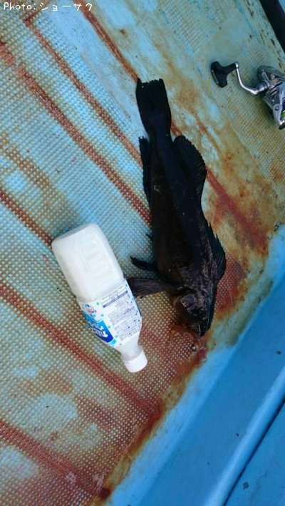 �����ʥ�