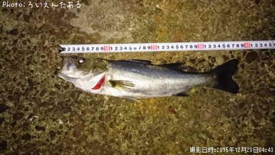 �ޥ륹����