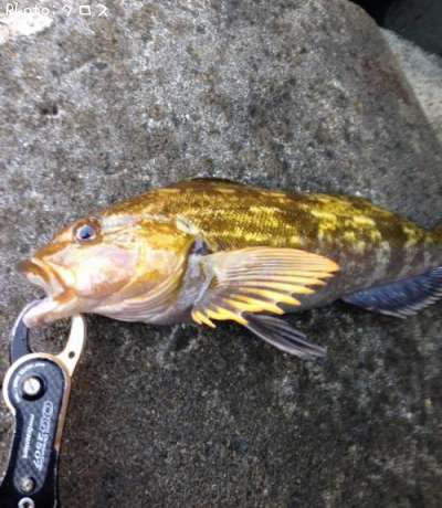 �����ʥ�