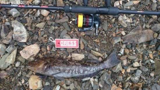 �����ʥ�