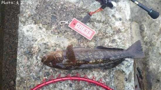 �����ʥ�