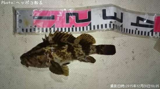 �����Υ���Х�