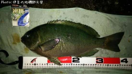 �����᥸��