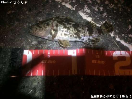 �������Υ���Х��