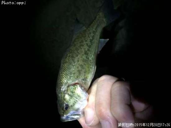 �֥�å��Х�