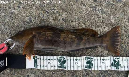 �����ʥ�