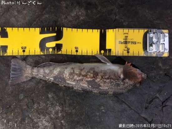 �����ʥ�