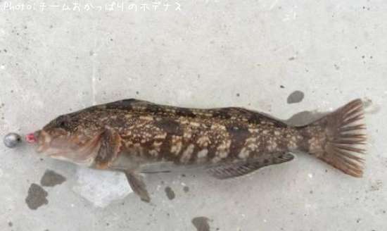 �����ʥ�